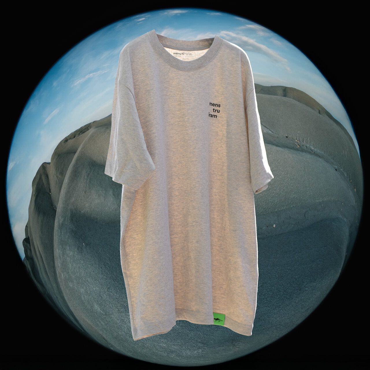 t-shirt 'menstruiram'
