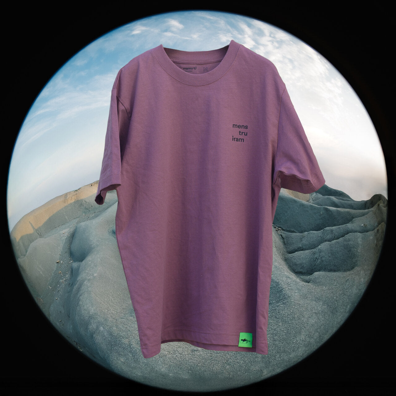 t-shirt 'menstruiram'